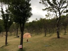 -牛岗山公园