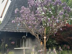 -上海鲜花港