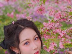 -天适樱花悠乐园