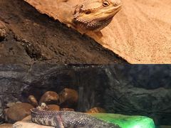 -多彩贵州城极地海洋世界