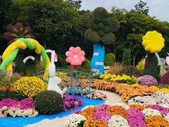 -上海共青森林公园