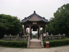 -中山大学学者灵芝(园南路店)