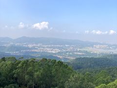 -水濂山森林公园