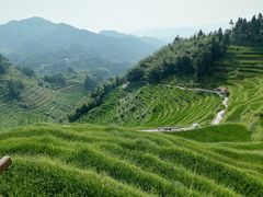 -紫鹊界梯田景区