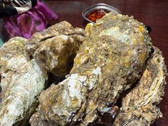 -蚝堡海鲜·威海菜·海肠捞饭·烧烤·亚洲吃蚝公司(幸福门店)