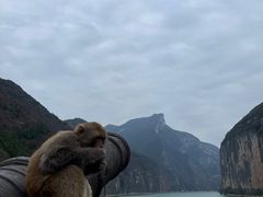 -白帝城·瞿塘峡景区