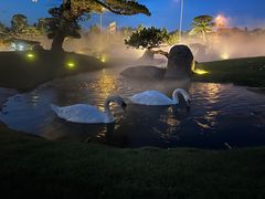 -罗红摄影艺术馆