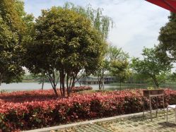-忆江南婚礼策划(姑苏店)