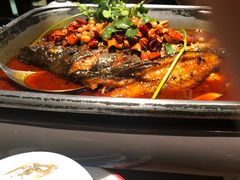 -龙门烤鱼(东方宝泰店)