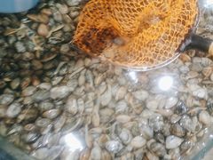 -鑫渔港海鲜本地菜·山海关浑锅(东戴河店)