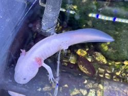 -Zoolung Zoolung动物主题公园(海信广场店)