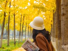 -汉长安城未央宫国家考古遗址公园