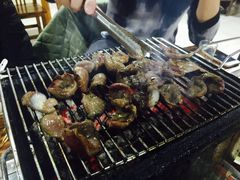 -丹东特色烤肉(学府路一部店)