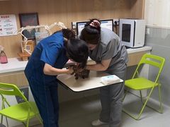-谐和益家动物医院·免疫绝育·血液透析·宠保定点医院(高新伊藤分院)