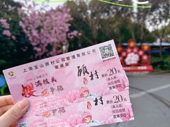 -顾村公园