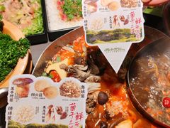 -楠小云·云南鲜菌·鲜牛自助火锅(九眼桥店)