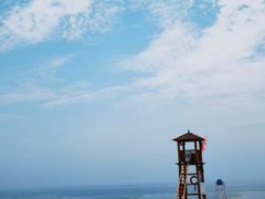 -日照海滨国家森林公园