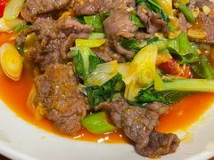 -曾牛肉