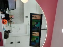 门面-喵园·猫主题咖啡厅·撸猫·猫咖(国贸店)