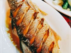 -蛇口康乐快餐鱼仔档(翠苑小区店)