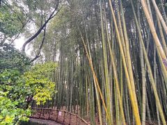 -汇龙潭
