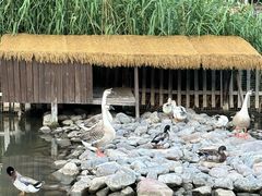 -荷塘味道(水长城店)