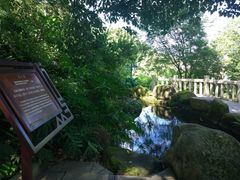 -乌山风景区