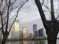 -合肥大剧院