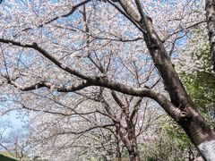 -昆山城市公园