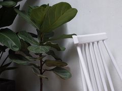 用餐区-拾壹cafe·工作室