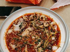 -添福来墨鱼饺子 · 海鲜东北菜(大连星海·黄浦路店)