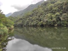 -雁南飞茶田景区