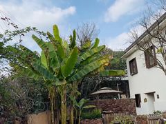-悦哉·派对·草坪婚礼·围炉煮茶(三圣乡店)