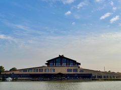 -宁波杭州湾国家湿地公园