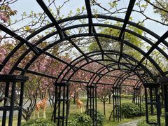 -常州花鸟园酒店(西太湖品牌优选店)