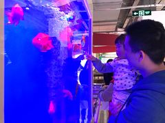 -大润发(南湖店)