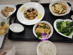 -宝生月子中心·私家园林式(龙华观澜店)