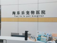-凯瑞希宠物医院·狂犬免疫·微创·皮肤科