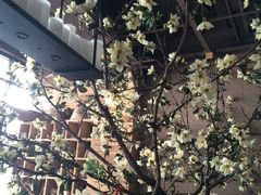 -山有花啡餐厅(常营总店)