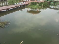 -同銮特种养殖场·龙虾垂钓