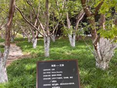 -元大都城垣遗址公园