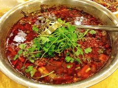 -胖大姐黄辣丁鱼庄(新津店)