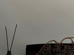 -MOJ coffee(瓯海泽雅水碓坑店)