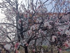 -国际非物质文化遗产博览园