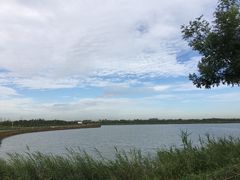 -天津东丽湖风景区