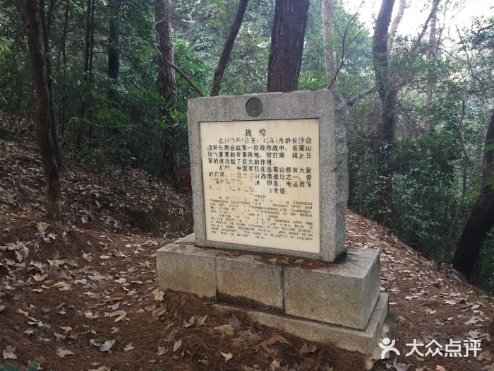 岳麓山风景名胜区图片