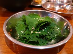 -大阪烧肉BAKA一代(十亩地店)