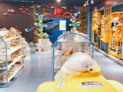 -沙沙哗啦海洋馆(华宇百花谷店)