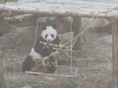 -宁波野生动物园