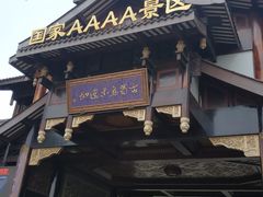 -乐山乌木文化博览苑